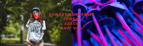 apvp Бронницы