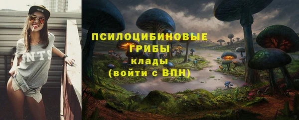 СК Бугульма