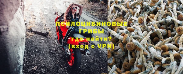 apvp Бронницы
