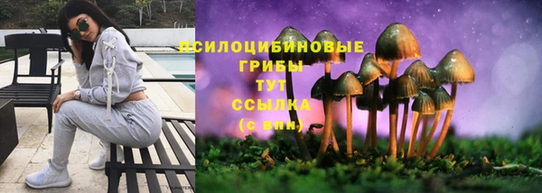 apvp Бронницы