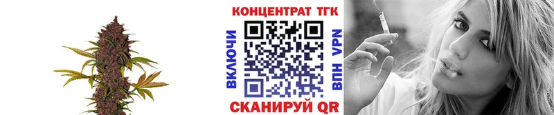блэк спрут как войти  закладки  Лодейное Поле  Дистиллят ТГК вейп 