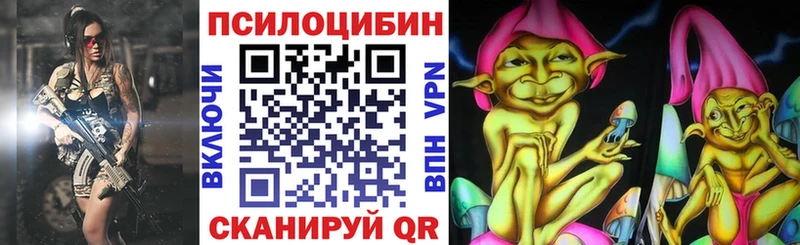 Псилоцибиновые грибы мицелий  Лодейное Поле 